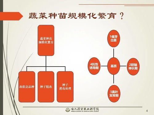 黨建引領謀發(fā)展 科技助農備春耕 網絡課堂開啟工廠化育苗知識小百科